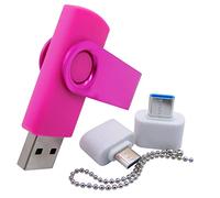 Small Capacity 256MB USB Flash Drives Memory Sticks Pen jumpdrive U Disk Thumb Drive with Type-C/OTG Adaptor for Pupil & Students (Pink)