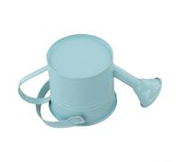 Small Capacity Metal Watering Can with Precision Long Mouth for Delicate Watering Tasks Including Starting and Propagation Stations (Light Blue)