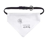 Small 'Carpe Diem: Seize The Day' Dog/Cat/Pet Bandana (PD00063835)
