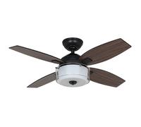 Ceiling Fan Central Park Steel with Light & Wall Control