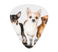 Small Chihuahua Puppy Dog Guitar Pick 12 Packs Guitar Plectrums Best Musical Gift Including 0.46mm/0.71mm/0.96mm