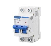 Small circuit breaker total open switch NXB air switch DZ4732a2p household open 63a100a125(2P/100A)