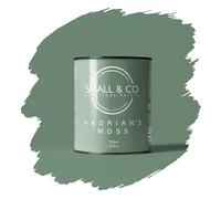 Small & Co Furniture Paint - Hadrian's Moss (sage-moss green with subtle grey) | Premium Water-Based Matte Acrylic for Cabinets & Wood | Strong Adhesion, Low Odour, Quick Dry | 750ml