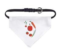 Small 'Colourful Delicious Salad' Dog/Cat/Pet Bandana (PD00060867)