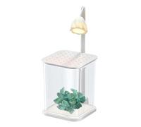 Small Combat Aquarium - Shrimp Tank for Desktop Viewing Removable Decorated Aquarium | Aquarium Tank with Night Light and Green for Fish, Small Crabs, Med