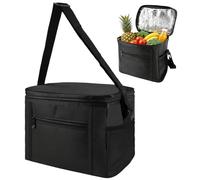 Small Cooler Bag on the Go 10L Foldable Thermal Bag Insulated Bag Picnic Bag Portable Lunch Bag Cooler Bag for Picnic Outdoor Travel Camping