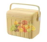 Small Cooler Box With 6 Ice Packs - 6L Portable Ice Chest Picnic Drink Beverage BBQ Camping Sports Gym Hiking Fishing Disaster Outdoor Travel Lib