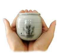 Small Cremation Urns for Human Ashes - Tree of Life Decorative Keepsake Urn with Case, Velvet Pouch - Ceramic Adult Dog Cat Ash Holders Miniature Memorial Funeral Urn for Sharing Ashes
