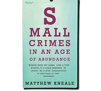 Small Crimes in an Age of Abundance