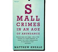 Small Crimes in an Age of Abundance