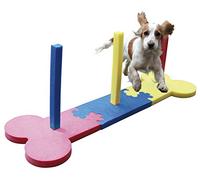 SMALL DOG AGILITY SLALOM