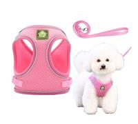 Small Dog and Kitten Harness S Size Orange - No Pull Adjustable Escape Proof Pet Vest with Reflective Strips for Cats, Puppies, Dachshund, and Extra Small Dogs