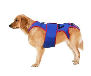 Small Dog Back Spine Support | Pet Back Bracer for IVDD | D-Ring and Reflective Strips Dog Back Brace For Dogs Retro Prevention, Helps Injure Support Brace To