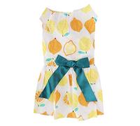 Small Dog Clothes | Summer Fruit Pattern Dress for Shaved Skin Protection/Parties/Photos | Soft Polyester Pet Costume, Easy Use & Care (XS)