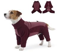 Small Dog Coat, Puppy Jacket Winter for Small Dogs Chihuahua Coat Thermal Winter Clothes Warm Coats Snow to Keep the Cold Out(Red, S)