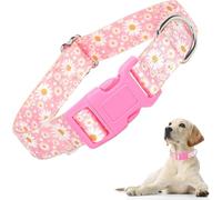 Small Dog Collar, Quick Release Plastic Buckle Girl's Dog Collar, Durable Pretty Floral Female Cat Collar for XS Small Medium Large X-Large Dogs Walking Training(daisy,L)