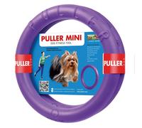 Small Dog Frisbee Purple Plastic 18cm by PULLER
