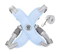 Small Dog Harness and Leash Set, Adjustable No Choke No Pull Reflective Cozy Harness with Traction Rope for Walking Outing, Blue Extra Small Dog Puppy