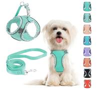 Small Dog Harness and Leash Set - No Pull Adjustable Reflective Breathable Mesh Step in Easy Walk for Extra Small/Medium Dogs Cats Puppy (Green, XS)