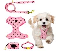 Small Dog Harness and Leash Set - No Pull Harness, Leash, Collar & Poop Bag Holder - Matching Set with Gold Hardware - Breathable, Adjustable, Stylish, and Comfortable for Daily Walks - Pink Bees