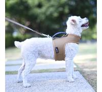 Small Dog Harness and Leash Set Small Pet Harness for Summer, Adjustable Soft Padded Dog Vest with Handle for Chihuahua, Poodle, Yorike, Maltese Under 5LBS, Solid Brown Mesh Fabric
