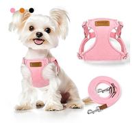 Small Dog Harness and Leash Set, Ultra Soft Suede No Pull Puppy Harness, Escape Proof Adjustable Vest for Small Dogs, Lightweight Comfort Fit for Walking Training by PROFAVO