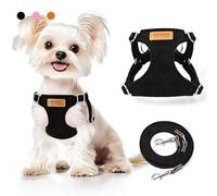 Small Dog Harness and Leash Set, Ultra Soft Suede No Pull Puppy Harness, Escape Proof Adjustable Vest for Small Dogs, Lightweight Comfort Fit for Walking Training by PROFAVO