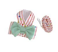 Small Dog Harness Leash Set,Cute Pet Princess Vest with Bow Knot,Breathable Mesh Pet Harness Apparel for Cat Puppy Small Medium Dog_S(Orange)
