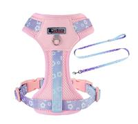 Small Dog Harness with Leash Set, Cute Mesh Durable Puppy Harness, No Pull No Choke Escape Proof Pet Harness Easy Walking, Pink Dream XS