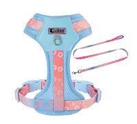 Small Dog Harness with Leash Set, Cute Mesh Durable Puppy Harness, No Pull No Choke Escape Proof Pet Harness Easy Walking, Blue Crush XS