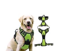 Small Dog Harness with Neck Release Buckle, Adjustable Soft Padded Puppy Vest featuring an Easy Control Handle, Reflective No-Pull Design with Front and Back Clips, in Pale green, Size S