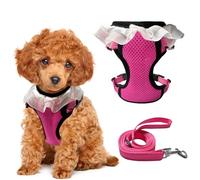 Small Dog Harness with Puppy collers Medium Size for no Pull Large cat Vest Easy Walk Kitten Leash with Handle Set Training for pet Correa para Perros Dachshund Reflective for car.(Rose red, XS)