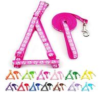 Small Dog Puppy Pet Cat Kitten Harness and Lead Set Pawprint Design Nylon Adjustable Chest Size 21-34cm and 120cm Leash Pink Magenta Rose