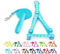 Small Dog Puppy Pet Cat Kitten Harness and Lead Set Pawprint Design Nylon Adjustable Chest Size 21-34cm and 120cm Leash Light Blue