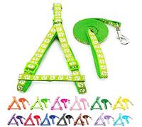 Small Dog Puppy Pet Cat Kitten Harness and Lead Set Pawprint Design Nylon Adjustable Chest Size 21-34cm and 120cm Leash Lime Green