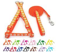 Small Dog Puppy Pet Cat Kitten Harness and Lead Set Pawprint Design Nylon Adjustable Chest Size 21-34cm and 120cm Leash Orange