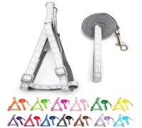 Small Dog Puppy Pet Cat Kitten Harness and Lead Set Pawprint Design Nylon Adjustable Chest Size 21-34cm and 120cm Leash Light Silver Grey