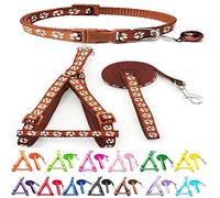 Small Dog Puppy Pet Collar Harness and Lead 3 Piece Set Pawprint Design Nylon Adjustable Neck Size 19-32cm and Chest Size 21-34cm with 120cm Leash Brown