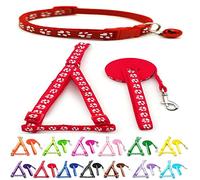 Small Dog Puppy Pet Collar Harness and Lead 3 Piece Set Pawprint Design Nylon Adjustable Neck Size 19-32cm and Chest Size 21-34cm with 120cm Leash Red