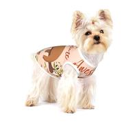 Small Dog Vest Cotton Breathable You Are Awesome Sloth Print Puppy T-Shirt Soft Cat Clothes Pullover for Walking M