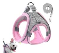 Small Dog Vest Harness High Visibility All Weather Puppy Safety Vest