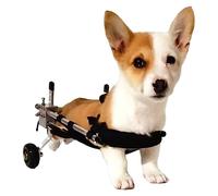 Small Dog Wheelchair for Disabled Pets, Lightweight 2-Wheel Aluminum Cart, Foldable Lifting Aid for Back Legs, XS Size Dog Stroller Accessories