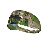 Small Donkey Meadows,Sports Sweatband for Unisex Multi Headband Elastic Exercise Hairband