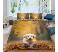 Small Double Duvet Cover Set Golden Retriever Soft Microfiber Cute Animals and Pets Bedding 3D Printed Quilt Cover 155x220 and 2 Pillowcases 50x75 with Zipper Closure Easy Care E-3273