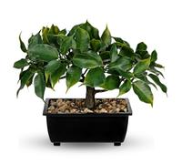 Small Fake Bonsai Tree Artificial Ficus Plant Zen for Shelf Desk Decor