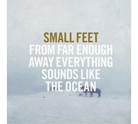 Small Feet - from Far Enough Away Everything Sounds Like