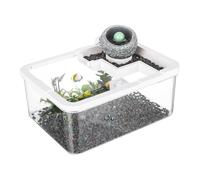 Small Fish Tank - Desktop Aquarium with Filter, Powered Hydroponic Tank, Space Saving Indoor Miniature Decor, Compact Aquarium for Bedroom, Bookshelf, Office, Aquaponics, 11.42x8.66x4.72 Inches