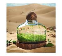Small Fish Tank- Fish Tank Glass Bottle Ecological Culture Micro Landscape Self-circulating Small Plant Tank with Wooden Base Desktop Ornaments Goldfish Bowl(Medium)