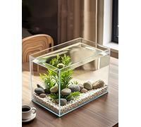 Small Fish Tank Glass Aquarium Jinjing Glass Home Desktop Dedicated (thickness: 4 Mm)(25x16x18cm)