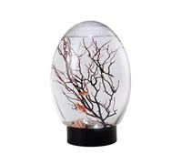 Small Fish Tank Goldfish Tank Mini Aquarium Fish Tank Ecosphere Closed Aquatic Ecosystem with LED Light Desktop Aquarium Stable Black Base No Need to Feed or Change Water